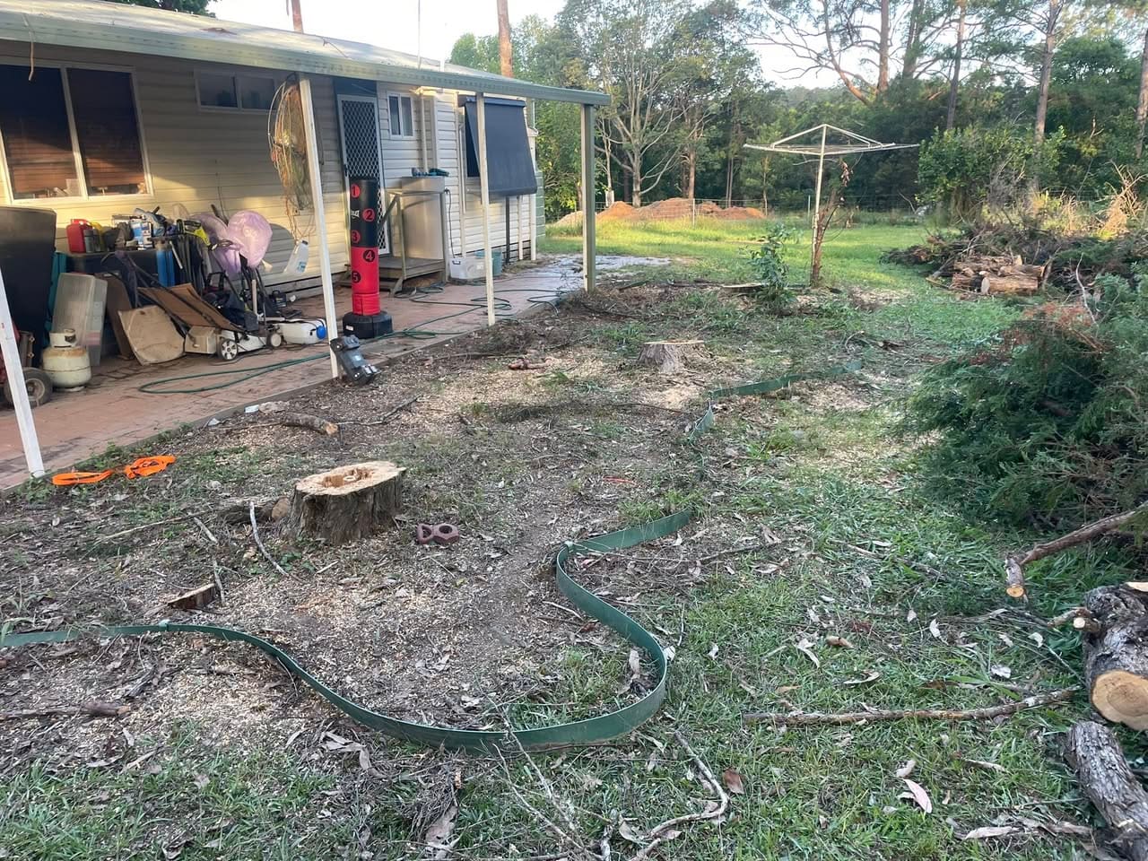 A country yard after tree removal, with stumps cut to grade and dragged debris ready for mulching.